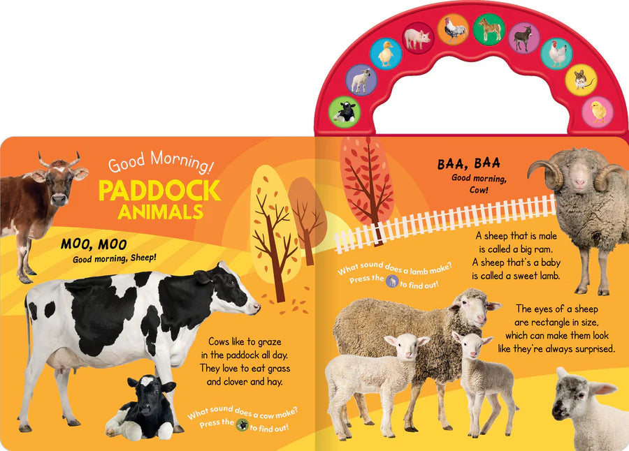 10-Button Carry Along Sound Book - Good Morning! On the Farm