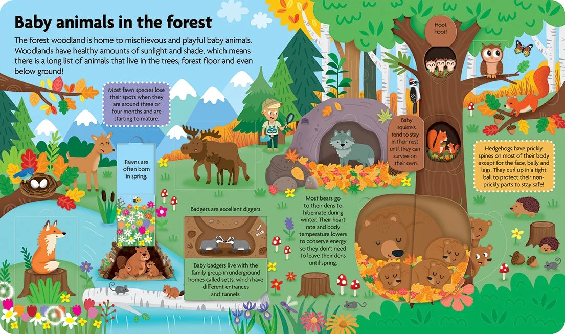 Fun Facts - Lift The Flap Board Book - Baby Animals