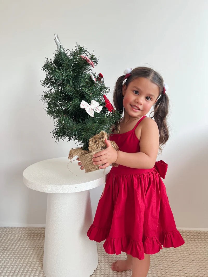 Holly Red Christmas Dress
