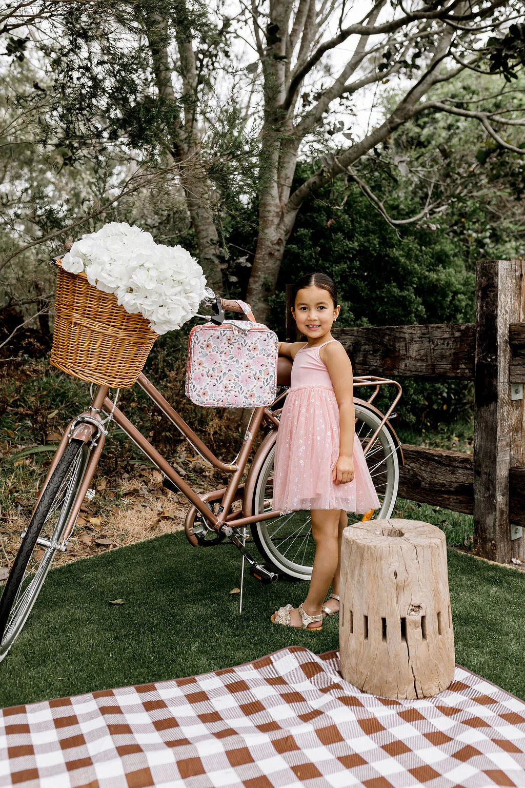 Insulated Lunch Bag Assorted