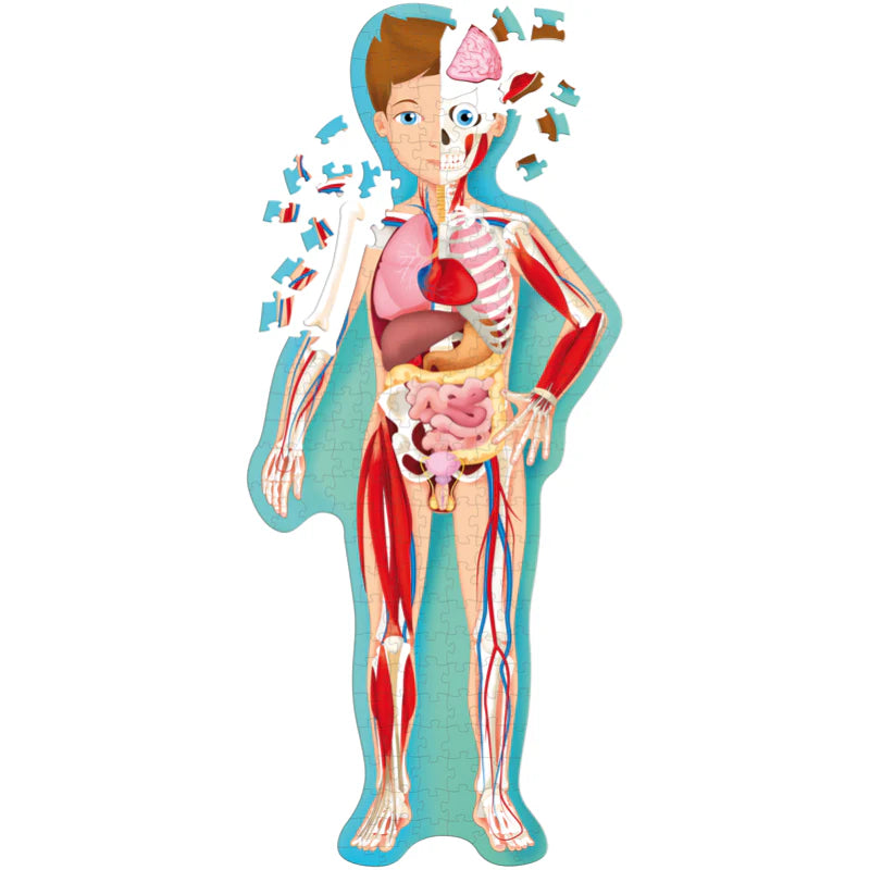 Travel, Learn & Explore Puzzle & Book Set The Human Body