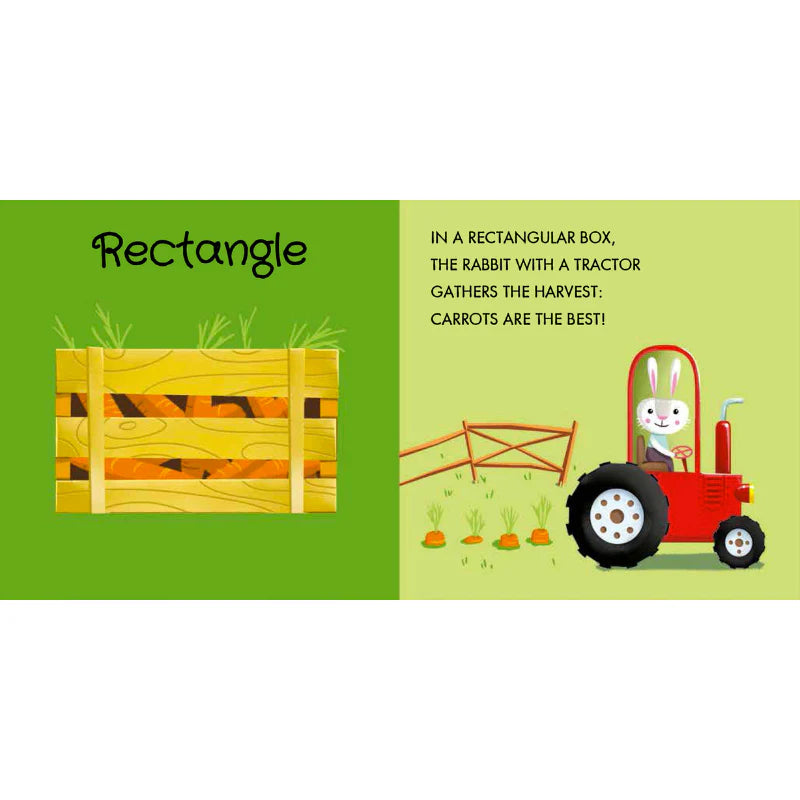 3D Puzzle and Book Set Learn Shapes Vehicles 40 Pcs