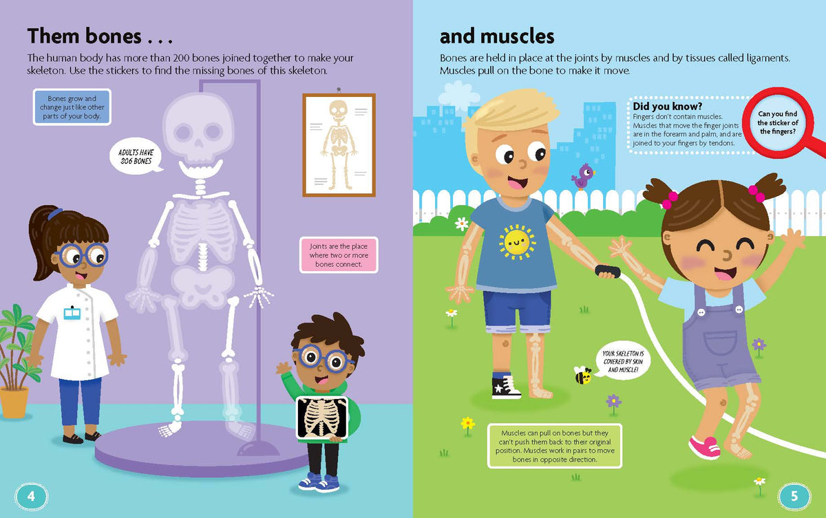 Fun Facts - Sticker Activity Book - Human Body