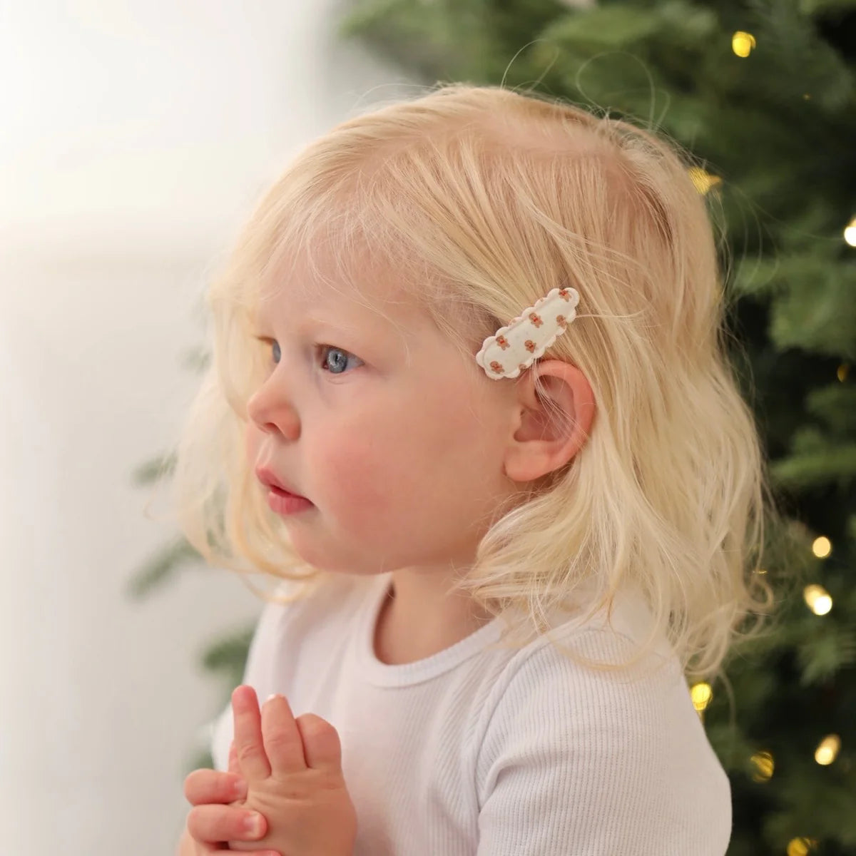 Snap Clips Sweet Gingerbread Set