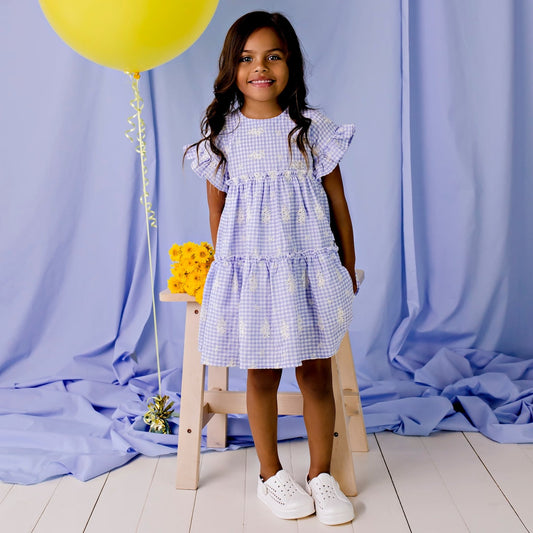 Designer Kidz Alice Embroidered Gingham Dress Blue