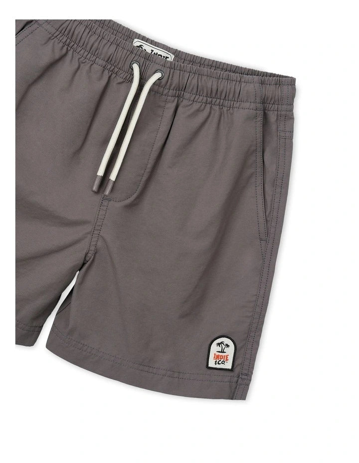 The All Day Swim Shark