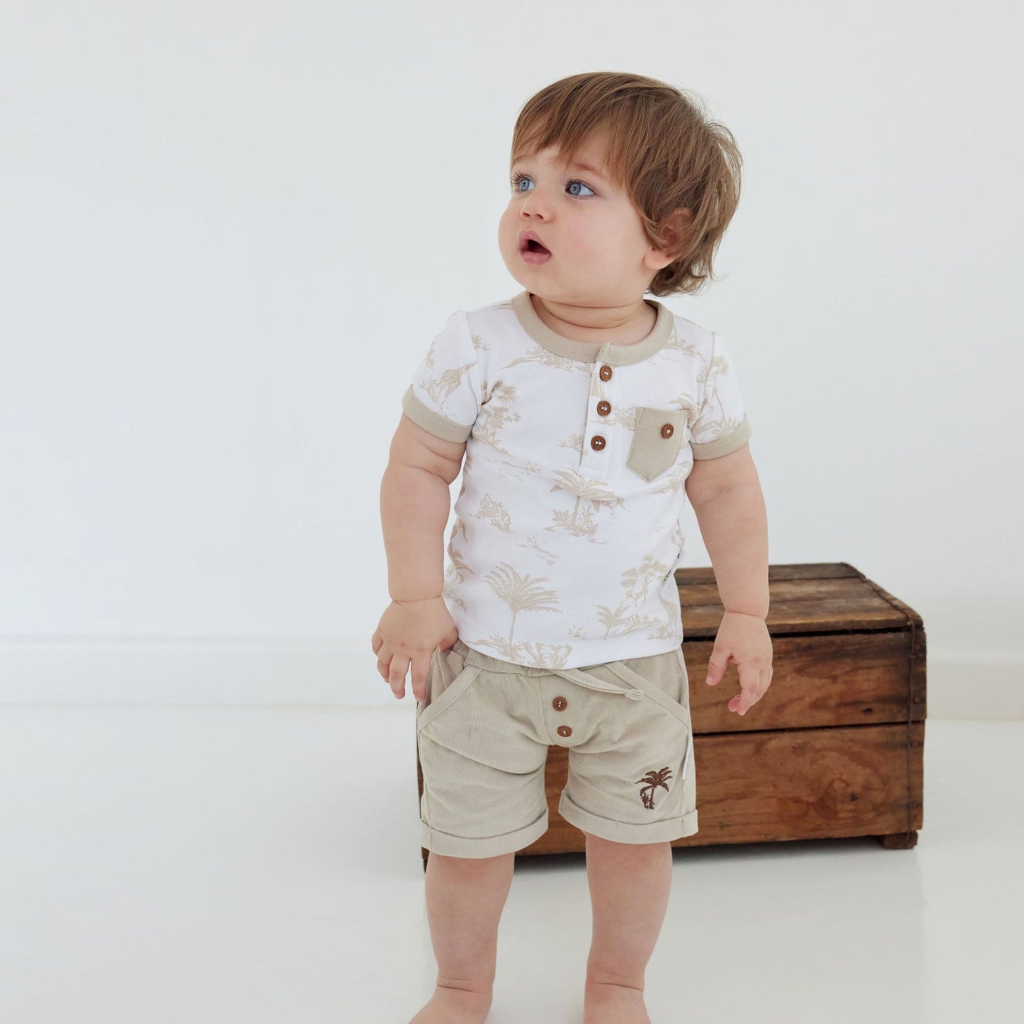 Aster & Oak - Sand Corduroy Shorts