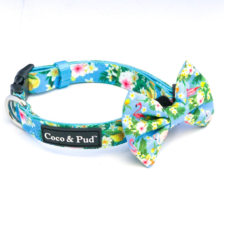 Coco & Pud - Collar & Bowtie - Assorted