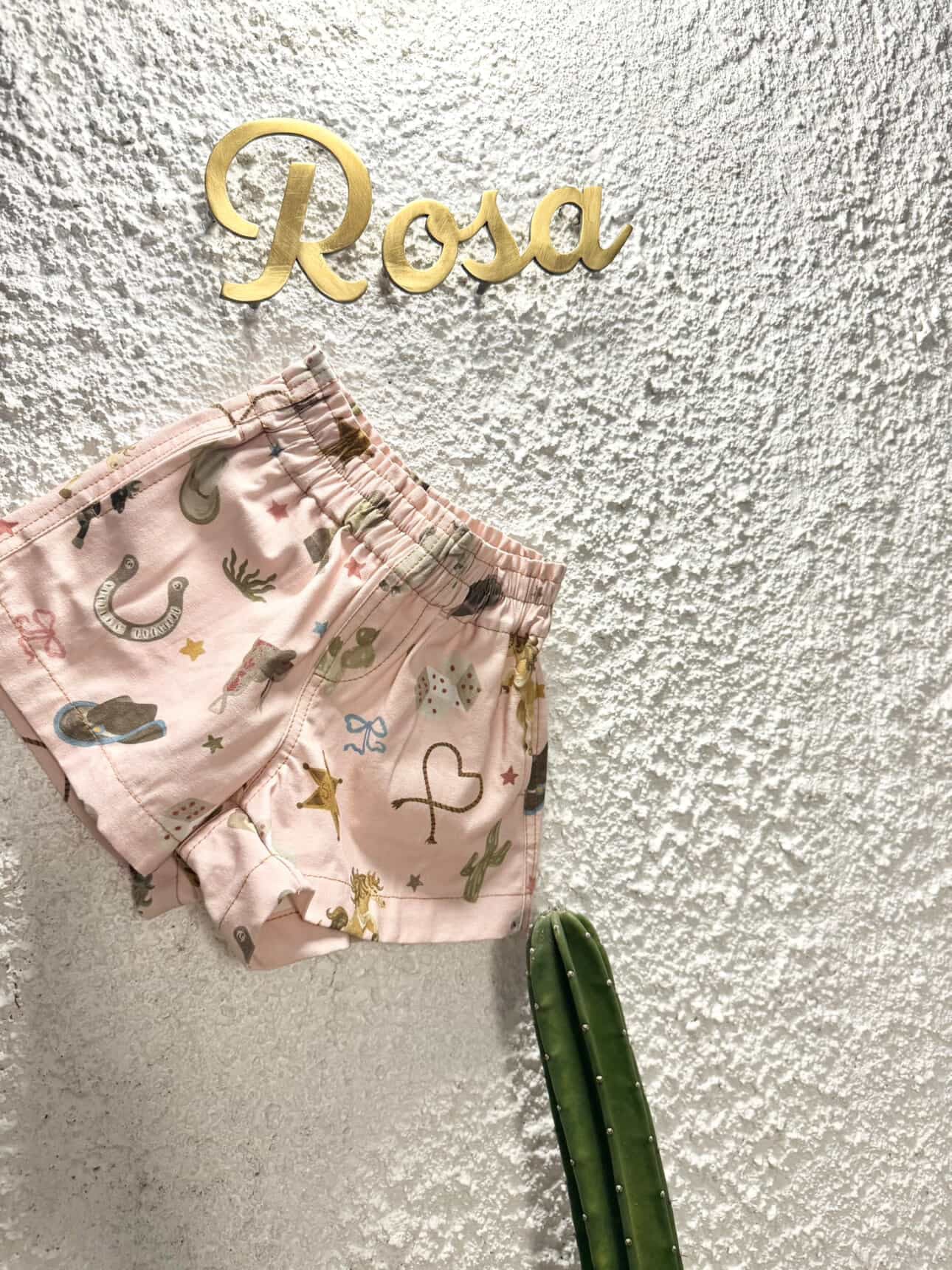 The Rodeo Shorts