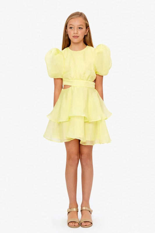 Bardot - Girls Enya Organza Mini Dress In Sunshine