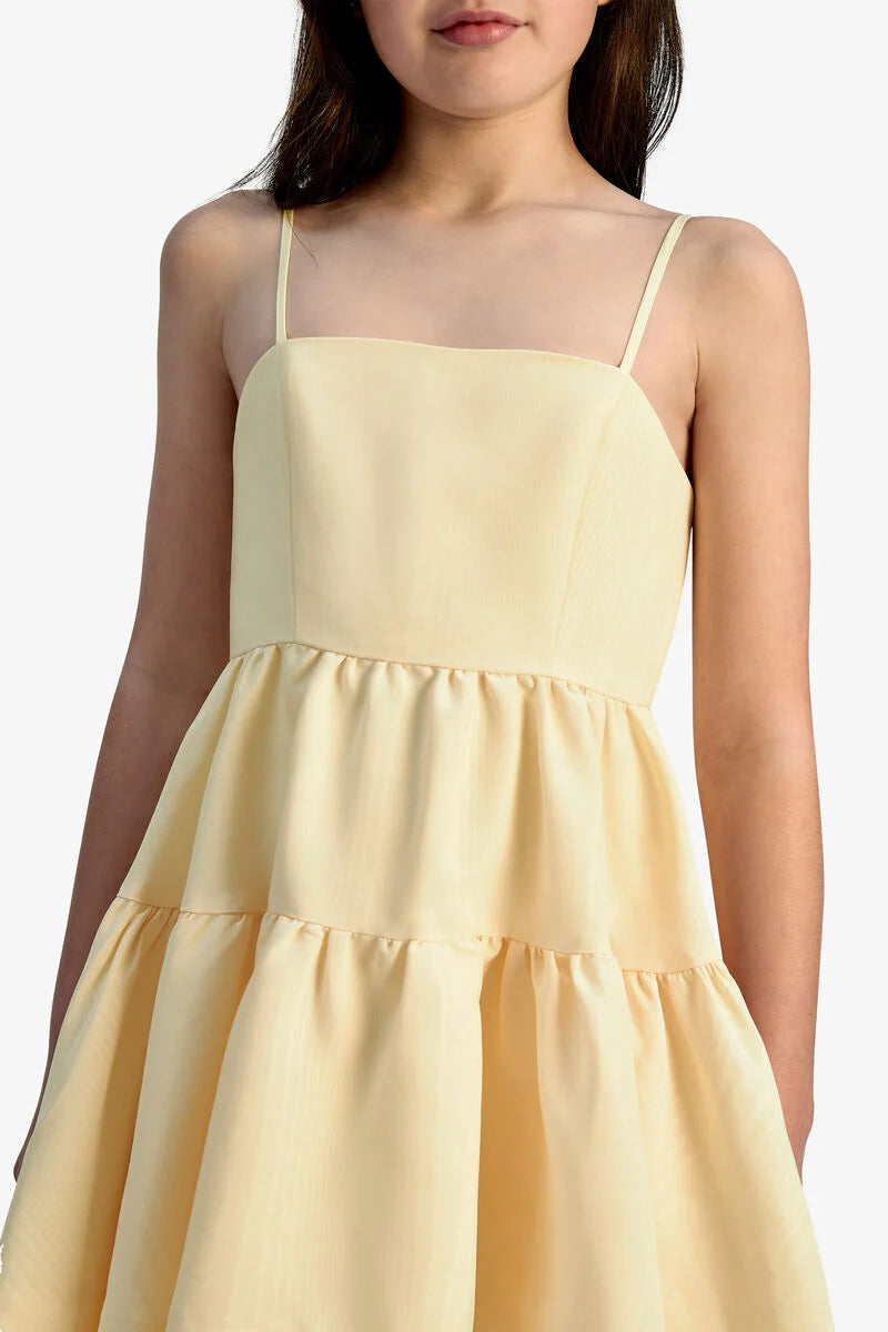 Charlotte Mini Dress Lemon