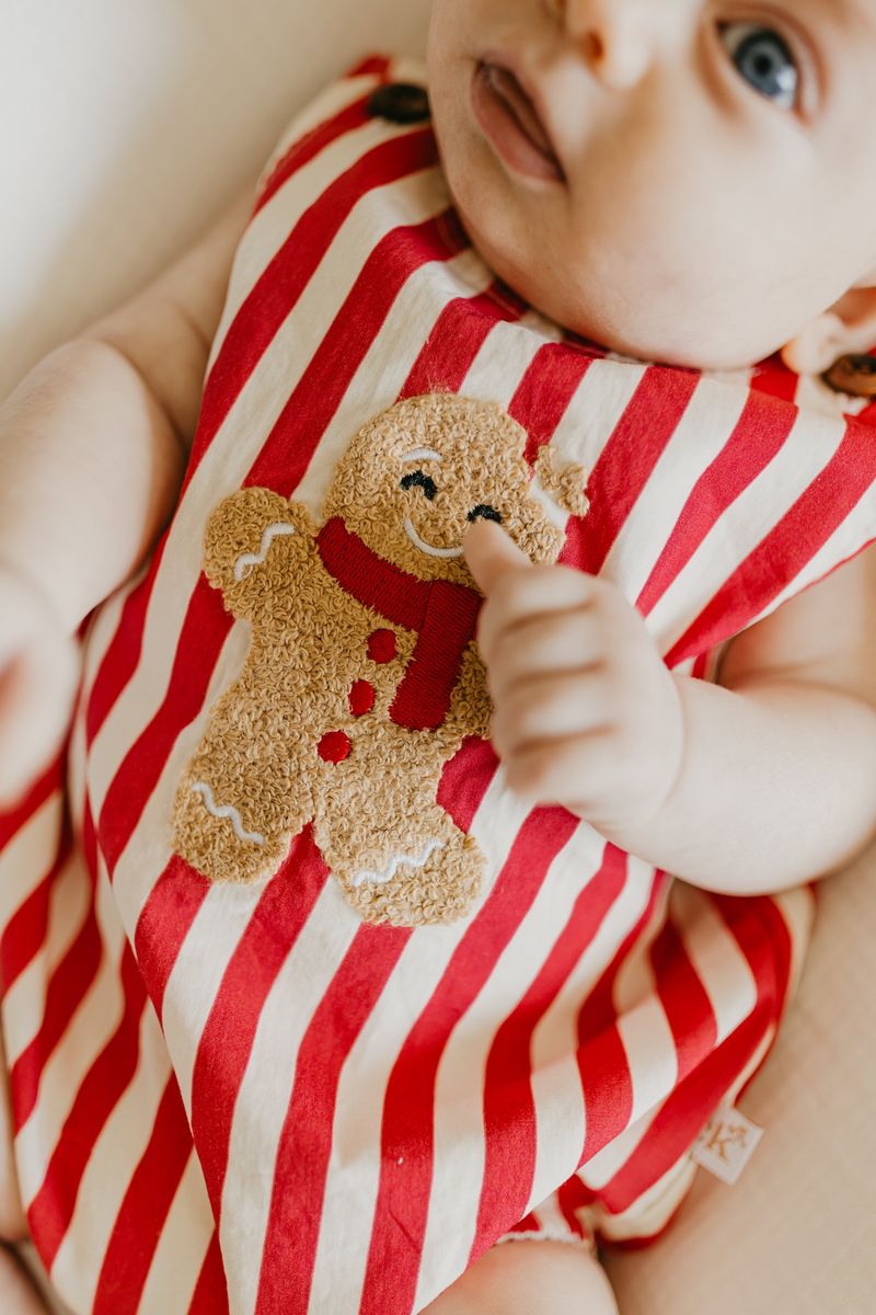 Gingerbread Stripe Romper