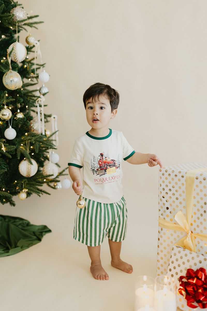 Polar Express Bamboo T-Shirt