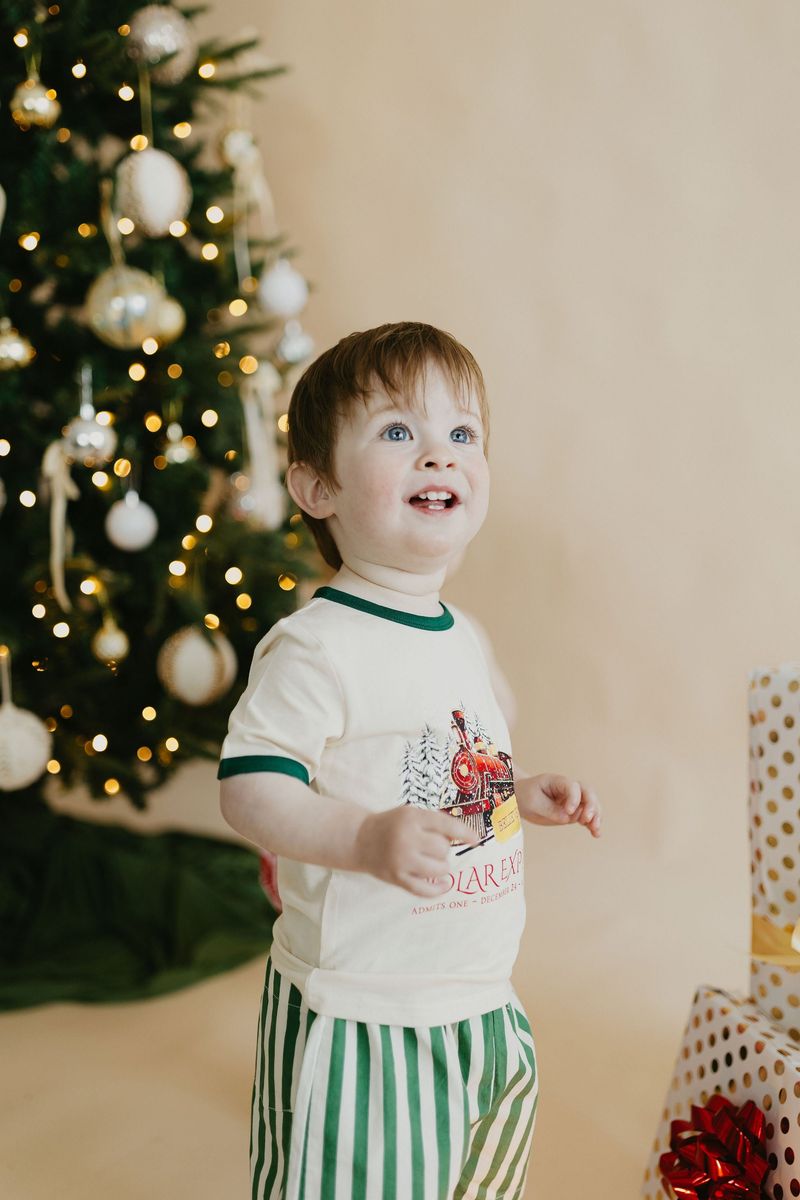 Polar Express Bamboo T-Shirt