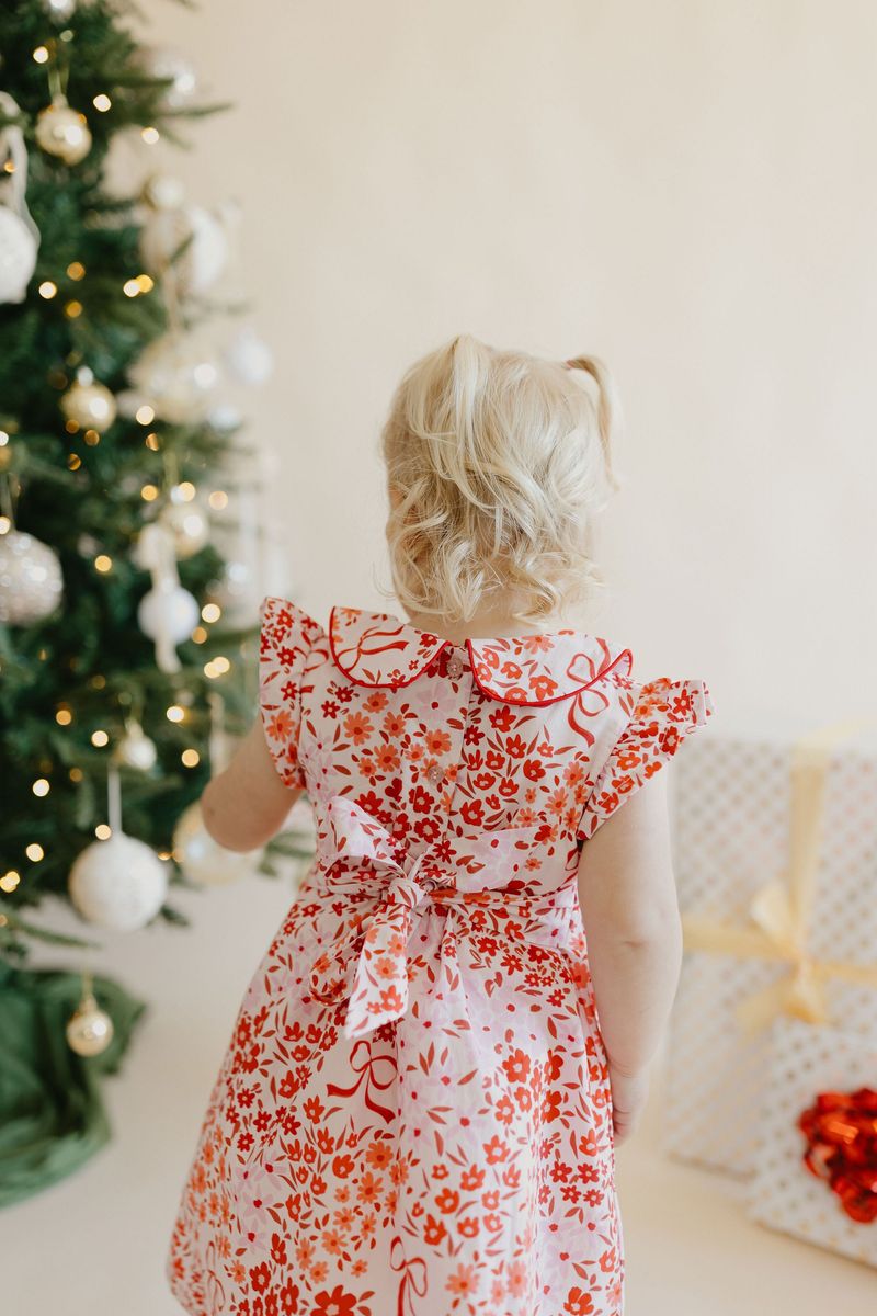 Sugarplum Shirred Dress
