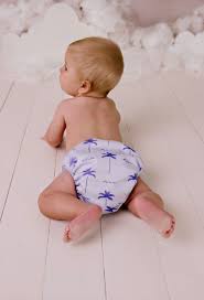Reusable Swim Nappy Assorted