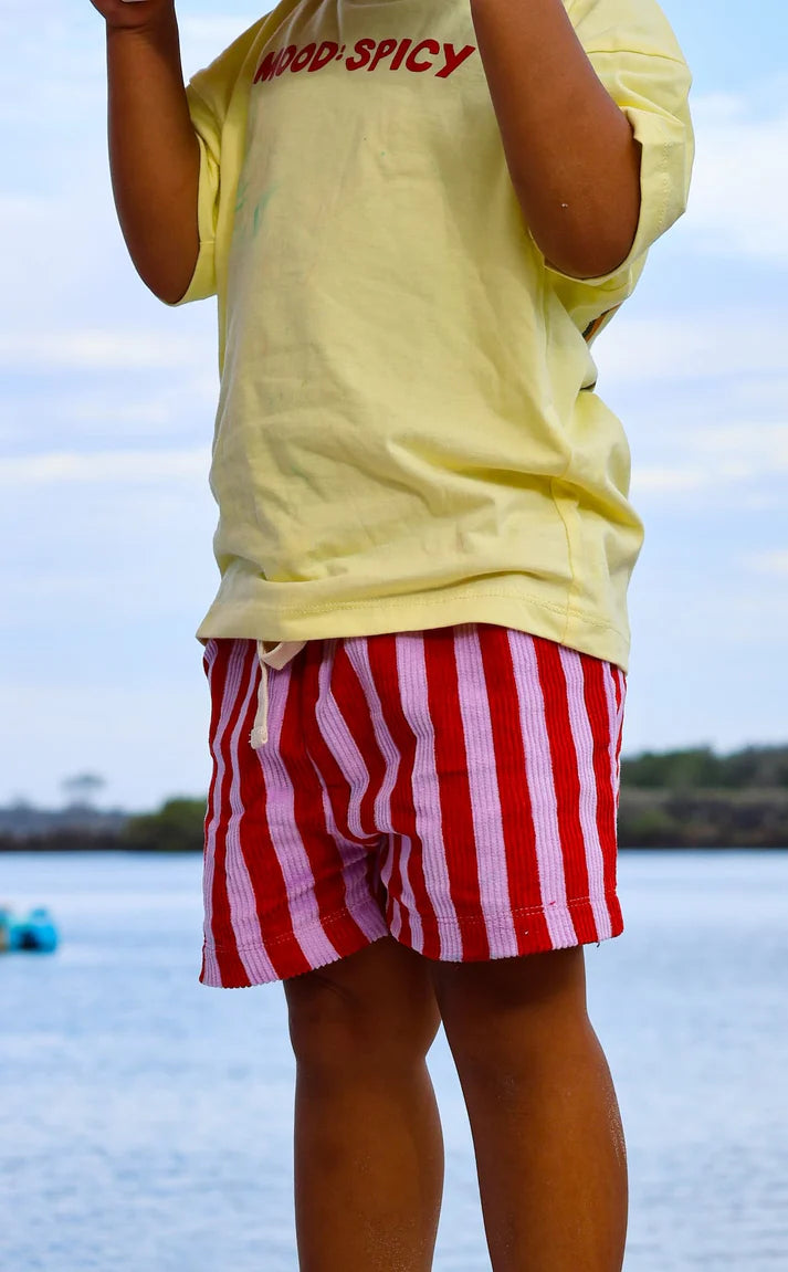 Little Locker Zinger Shorts - Red/Purple